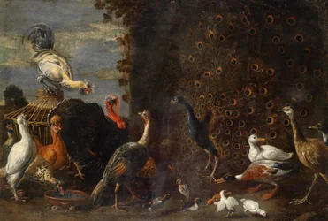 Poultry Yard with Peacock, Turkey, and Ducks